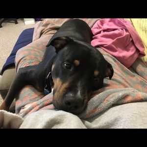 Meet your Posher, Kelly